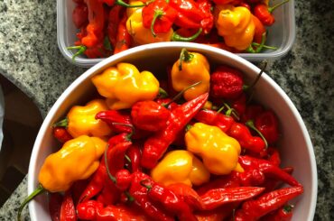 Fall harvest haul.
