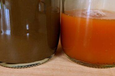 Fermented hot sauce, this year's from green leftover Rocotto, last year's from ripe red Rocotto. The green is not quite as hot and has a mellower flavour than the red.