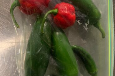 I need help, I was given an amazing gift today, I have plenty of ideas for the jalapeños. But what do I do with a couple Carolina Reapers?