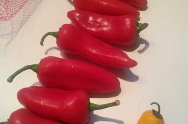 spice noob--just got these at grocery, ID help please? thx :)