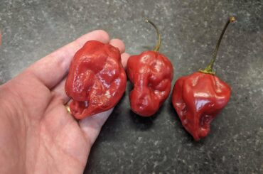 Can anyone ID these peppers? Pretty spicy, bought at a local asian market