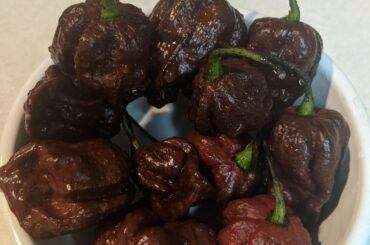 Friend gave me some peppers she grew but I'm not entirely sure on what kind they are