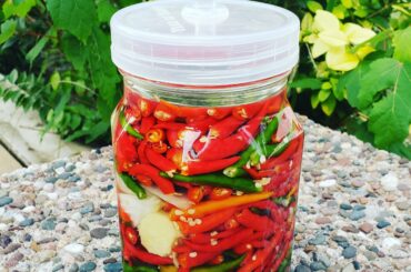 Starting a new fermentation today! Thai chiles with some white onion, garlic, and a thumb of ginger.