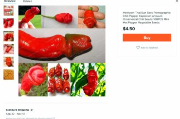 [NSFW]? Browsing Wish out of boredom... I thought I knew my peppers but never heard of the "Thai Sun Sexy Pornographic Chili Pepper"