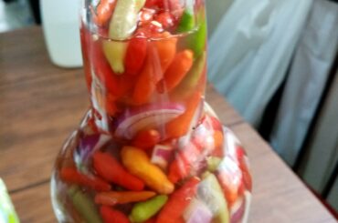 Filipino spiced vinegar - bird's eye chili peppers, garlic, onions, ginger, coconut vinegar.
