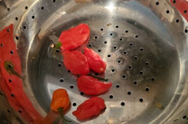 Some what I harvested.