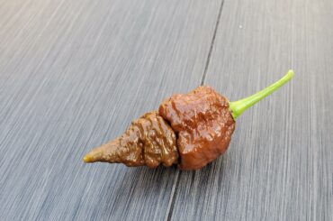 Can anyone tell me what pepper this is?