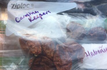 I was just gifted some reaper, habanero, and fire dragon peppers. Any suggestions on tasty ways to use them?