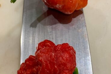 Carolina Reapers - we have a lot more any ideas what to make with them?!