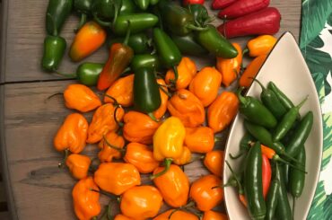 Just some of this years harvest.