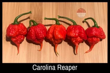 Reapers