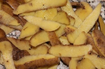 Potato peels: from today you do not throw it - Nature benefits