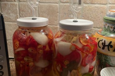 So excited!!!! Guess the peppers: there are 5 varieties total