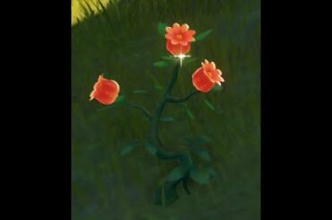 Jueyun Chili Location (Xiangling Cooking Quest) - Genshin Impact