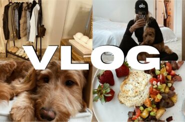 VLOG: A few days in my life, Winnies first haircut, traveling to Dylan's football game, chili recipe