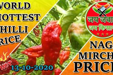 ghost pepper price  | ghost chili price | bhut jolokia price
