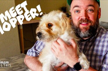 Monson's Favorite Things #1 - Puppies! Pickled Lentils! Bitchin' Hummus and  Vegan Chili!