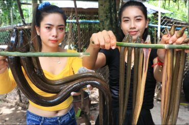 Amazing cooking eels stir-fry with chili and eel grilled recipe