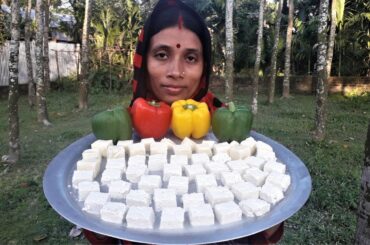 Chili Paneer Recipe | Easy Chili Paneer | Paneer Chili Recipe Cooking By Street Village Food