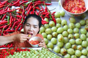 Make Chili Salt Eating With Wild Gooseberry Recipe at Home