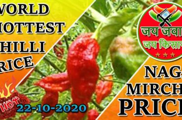 bhut jolokia price | ghost chili price | ghost pepper price | naga chilli