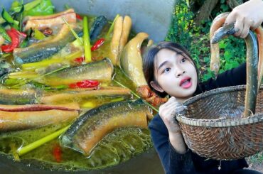 Fry Eel With Chili Recipe