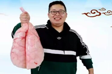 Best Cooking Cow Lung With Chili Recipe  - Eating Cow Lung at Home