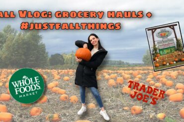 Fall VLOG: Vegan Chili + Whole Foods & Trader Joes Grocery Haul