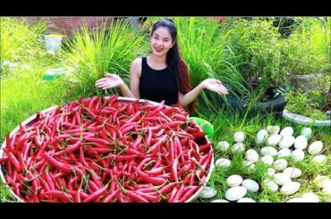 Cooking 100 Eggs With Chili Garlic Recipe - How To Make Food 100 eggs