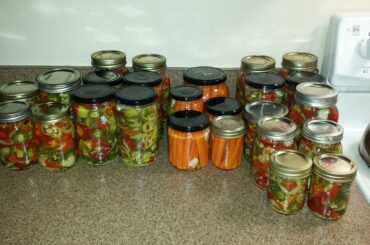 All the randoms from the farmers market, now in jars. This pic was taken 3 weeks ago. Tied into them already and they're stellar. Also the carrots have habs in them.