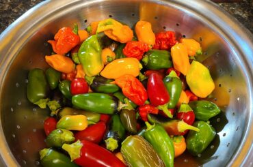 8b bounty.