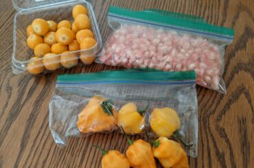 Pink pomegranate, Gooseberries, scotch bonnet and habanero pepper... This is going to be my new sauce.