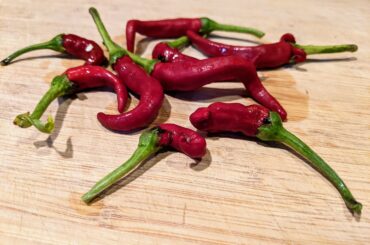 First ever harvest from the garden. Can't wait to use them and looking forward to a (hopefully) much bigger harvest next year!