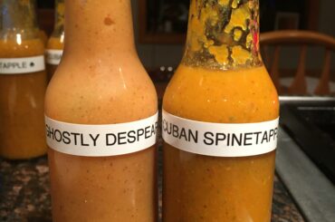 The Trader Joe's in my area was selling ghost peppers and I felt the urge to make my first batch of homemade sauce. Had fun making a project of it :) here are my fully bottled Ghostly Despear and Cuban Spinetapple sauces!