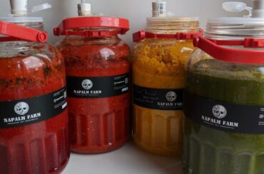 Array of colors of my ferments