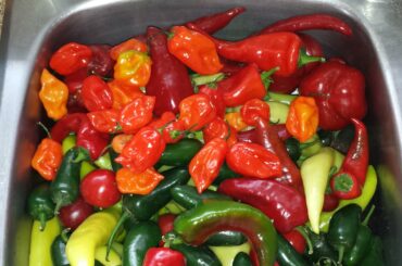 All the randoms from the farmers market. This makes my heart pound.