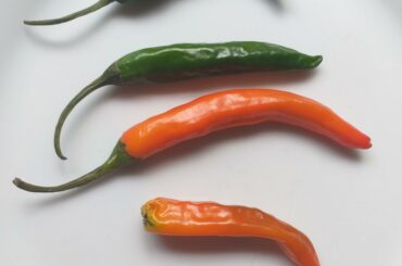 Anybody have an idea what kind of chillies i baught? Grocer seemed uncertain