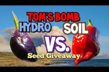Just need 6 more subscribers. 1. Subscribe 2. Like this video 3. Comment on this video to enter the drawing.
