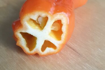First bhut jolokia from my plants looks so beutiful en is very tasty!