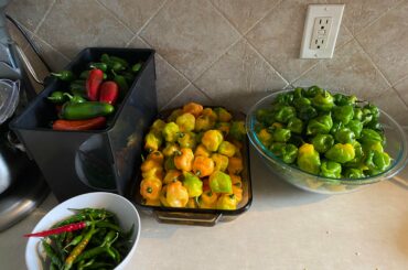 Had to pick everything left in the garden before a frost. Any suggestions of recipes to try?