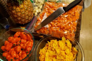 Hotsauce prep: 150 chili peppers (cut up yellow reapers, habaneros, and red/yellow 7pots)