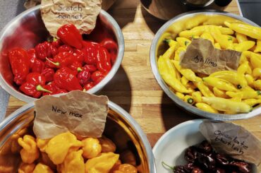 Yesterdays haul from chiligaraget in Höganäs, Sweden. Time for some fermentation!