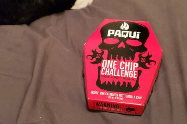 One Chip Challenge Round 3 is coming next Wednesday, and my cat will be a part of it (not eating it). Stay tuned to my YouTube channel, Bankai Phoenix Reactions, for the video. Enjoy your day.