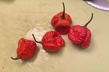 These should make for a good addition to a jerky