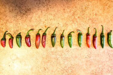 Our first haul! I've never grown peppers before and the plants and Serranos are a little small, but they pack an unexpected punch! We also let some get a little red 😅