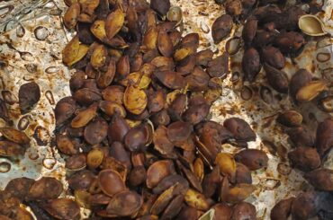 Acorn Squash seeds, roasted with smoked homegrown ghost pepper and kosher salt