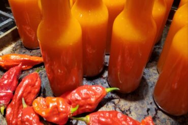 Made 22 bottles of this mango ghost pepper sauce over the weekend. So hot!