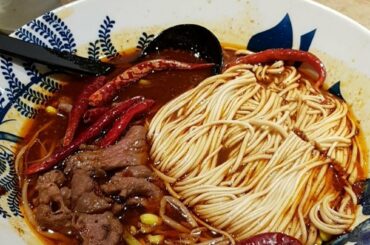Had these spicy beef noodles last year during a vacation in HK and still crave the intense flavor