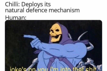 All of us in a nutshell