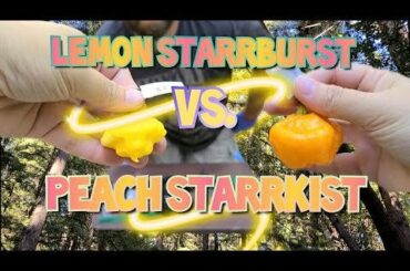 Both Varieties taste amazing!